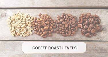 Roast Levels Coffee: Light, Medium & Dark Coffee Roasts Explained