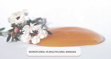 Monofloral vs Multifloral Manuka: What’s the Real Difference?