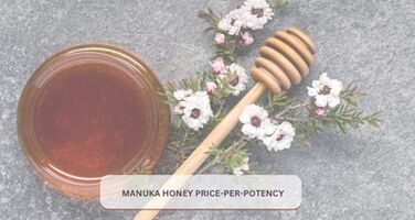 Manuka Honey Price‑per‑Potency: What to Expect?