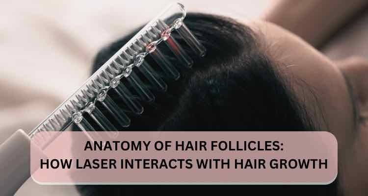 Anatomy of Hair Follicles